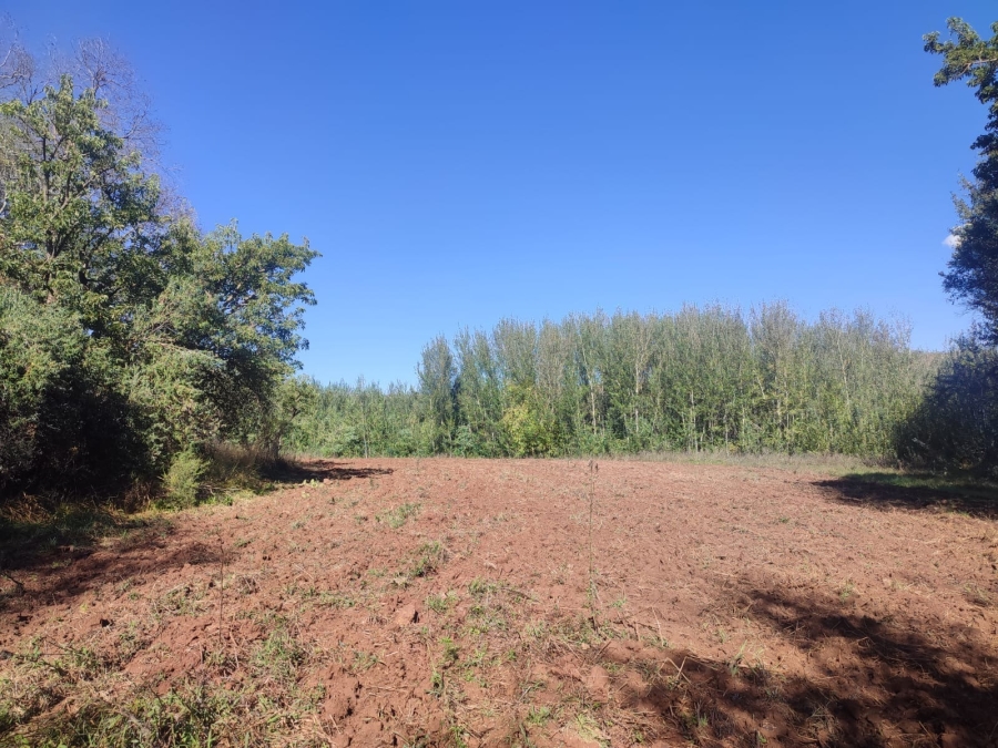 4 Bedroom Property for Sale in Lichtenburg North West